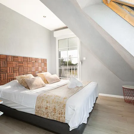 Strasbourg - Ours - Privé, Sauna, Borne D'arcade, Babyfoot Villa *