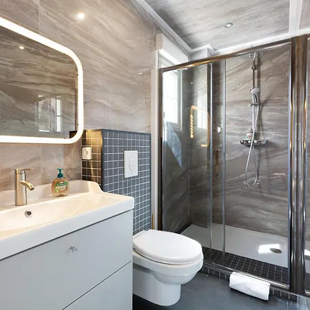 Strasbourg - Ours - Privé, Sauna, Borne D'arcade, Babyfoot