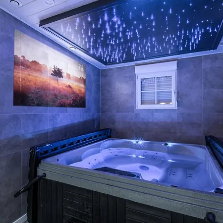 Strasbourg - Ours - Privé, Sauna, Borne D'arcade, Babyfoot