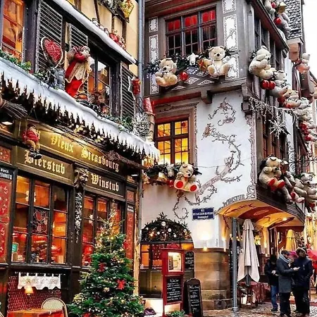 Strasbourg - Ours - Privé, Sauna, Borne D'arcade, Babyfoot