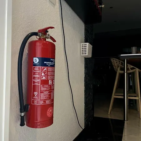 Strasbourg - Ours - Privé, Sauna, Borne D'arcade, Babyfoot