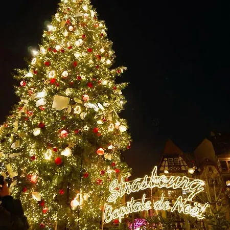 Strasbourg - Ours - Privé, Sauna, Borne D'arcade, Babyfoot * Ittenheim