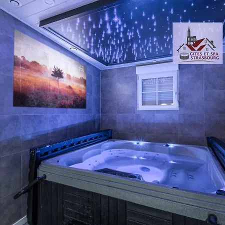 Strasbourg - Ours - Prive, Sauna, Borne D'arcade, Babyfoot Villa Ittenheim