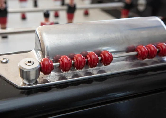 Strasbourg - Ours - Prive, Sauna, Borne D'arcade, Babyfoot *