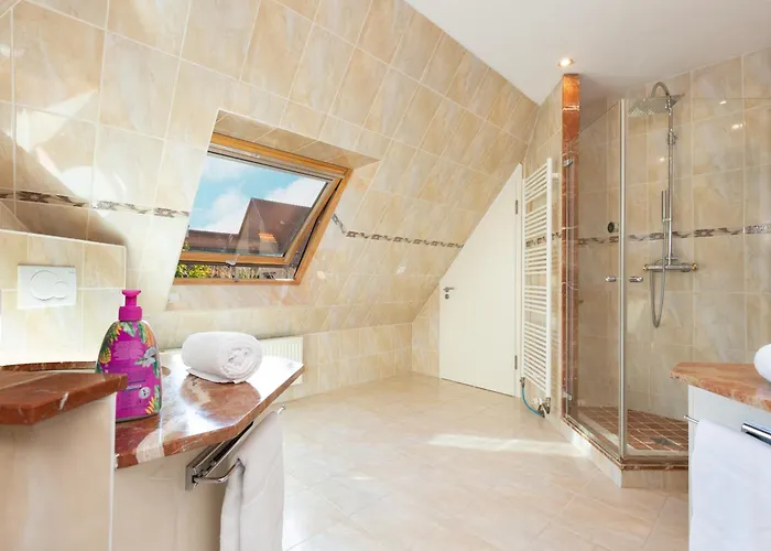 Strasbourg - Ours - Prive, Sauna, Borne D'arcade, Babyfoot *