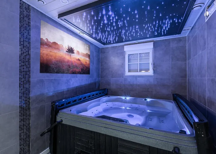 Strasbourg - Ours - Prive, Sauna, Borne D'arcade, Babyfoot