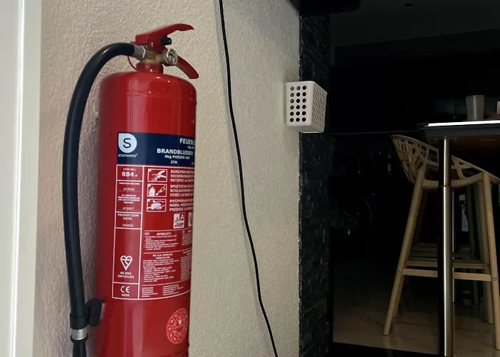 Strasbourg - Ours - Prive, Sauna, Borne D'arcade, Babyfoot