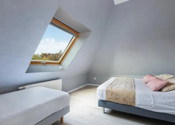 Strasbourg - Ours - Prive, Sauna, Borne D'arcade, Babyfoot *