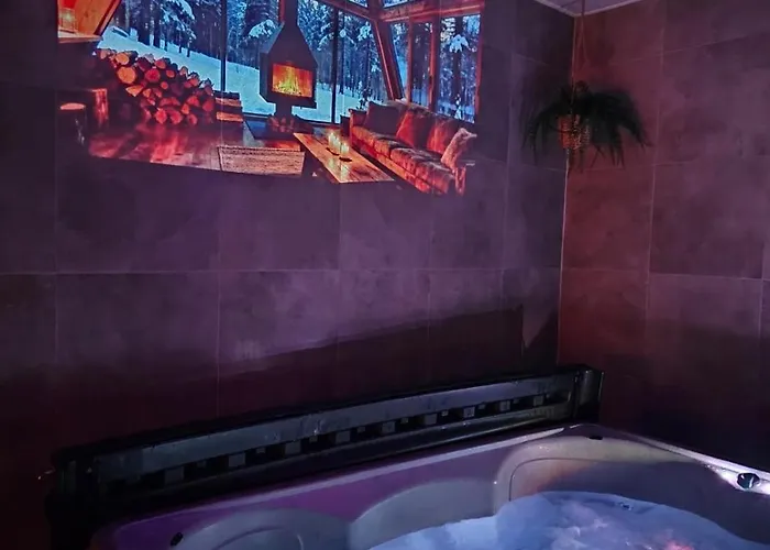 Strasbourg - Ours - Prive, Sauna, Borne D'arcade, Babyfoot *