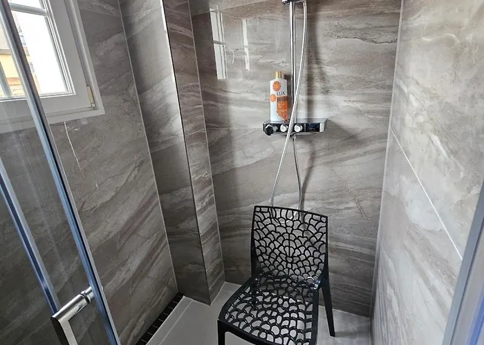 Strasbourg - Ours - Prive, Sauna, Borne D'arcade, Babyfoot *