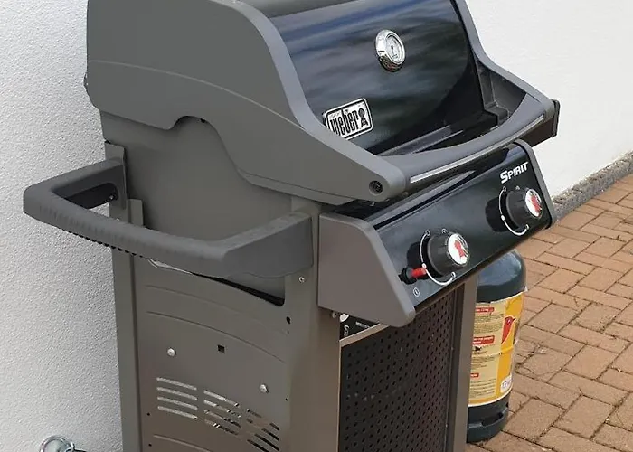 Strasbourg - Ours - Prive, Sauna, Borne D'arcade, Babyfoot Villa